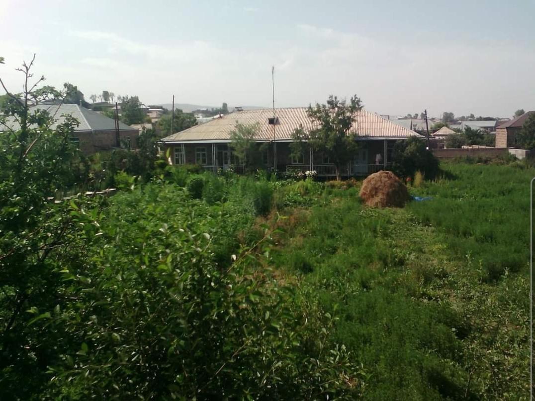 Homestay The Lichk