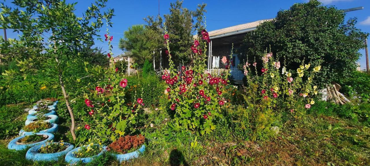 Homestay The