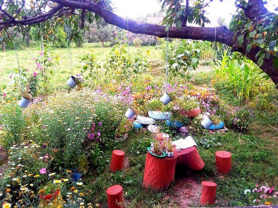 Homestay The